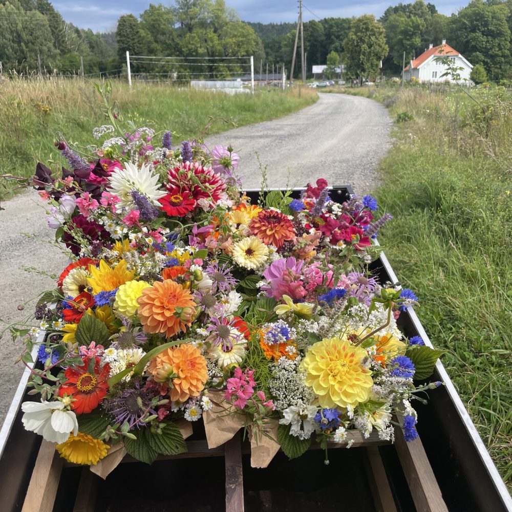 blomsterhenger