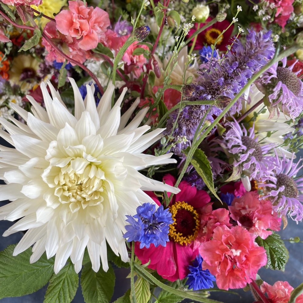 bukett3-kurs bukett3-kurs