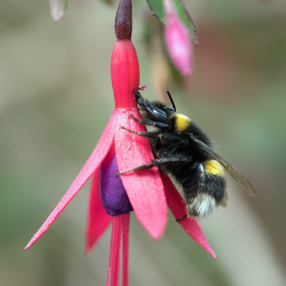 david-clode-VVKl4w_xk7M-unsplash